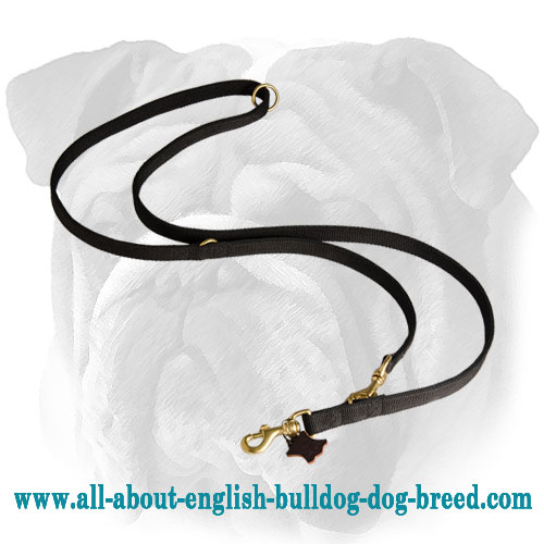 All In One Multi-Purpose Nylon Dog Leash for English Bulldog