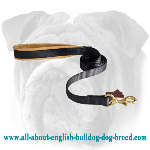 Reliable Nylon English Bulldog Leash - Super Comfortable Lead