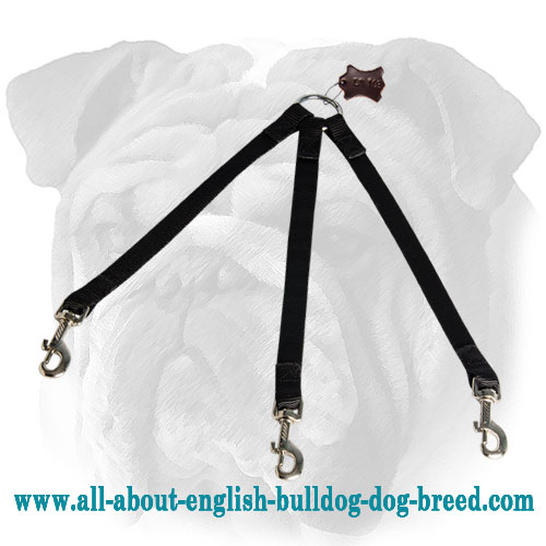 Stitched Triple English Bulldog Leash for Walking 3 Dogs in Any Weather Condition