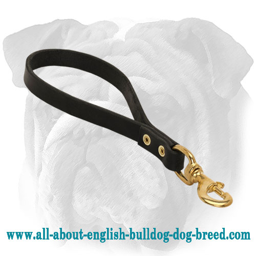 Short Leather English Bulldog Leash for Super Control