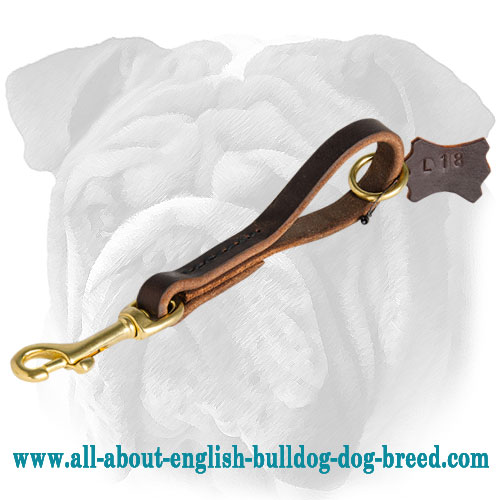 Fast Grab Leather Leash for English Bulldog - Click Image to Close