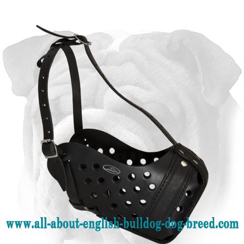 Attack Training Genuine Leather Muzzle for English Bulldog
