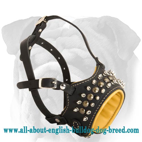 Deluxe Genuine Leather English Bulldog Muzzle with Studs and Spikes - Click Image to Close