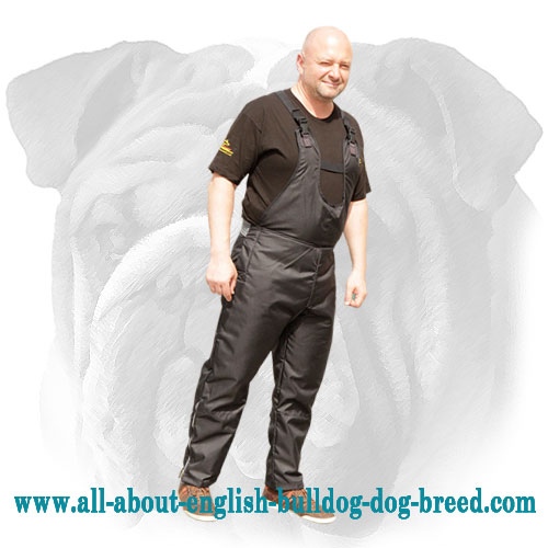 Nylon Scratch Pants for English Bulldog Training