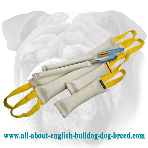 3 Fire Hose Bite Tugs x 2 Sets = 6 Unbelievable Tools for Bite Training