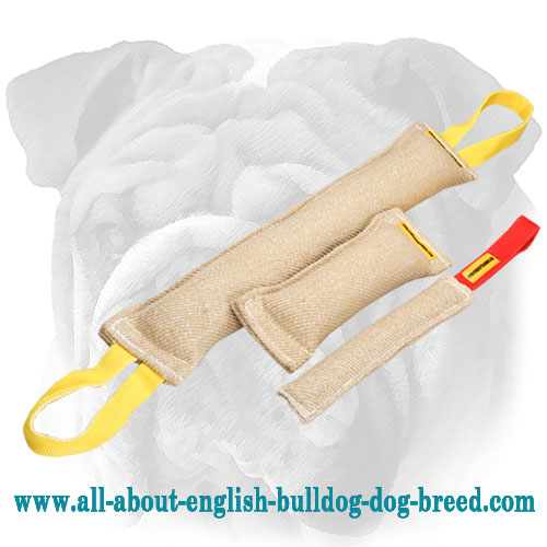 English Bulldog Set of Jute Bite Tugs for Basic Puppy Training