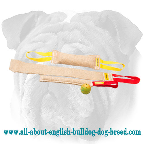 English Bulldog Set of 3 Jute Bite Tugs + Rubber Sound Toy