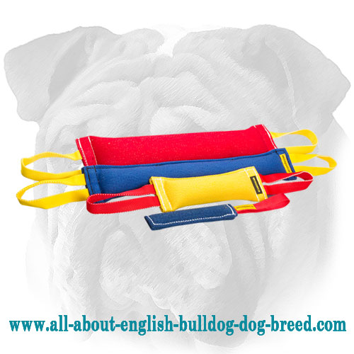 Professional French Linen English Bulldog Set of Bite Tugs