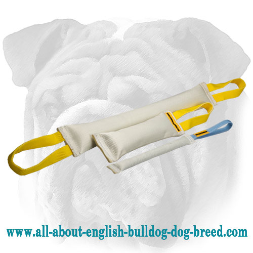 Fire Hose Bite Tugs Training Set for English Bulldog Puppy Training