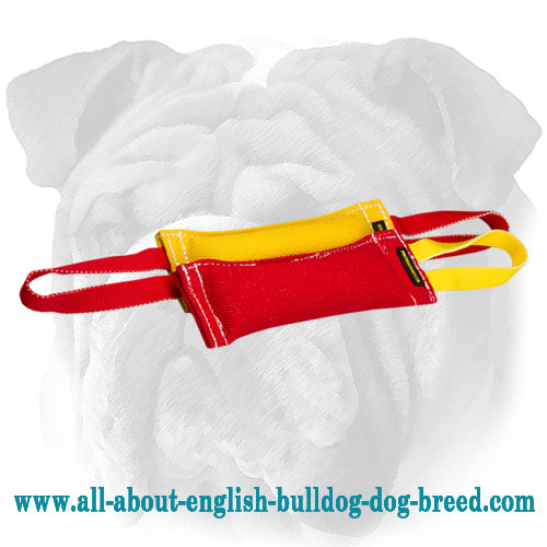 French Linen Bite Tugs in One Set for English Bulldog Puppy Training