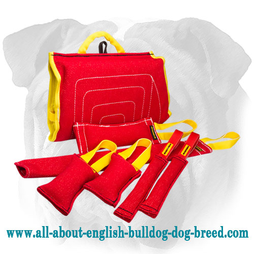 Set of French Linen Bite Tugs for English Bulldog Puppy