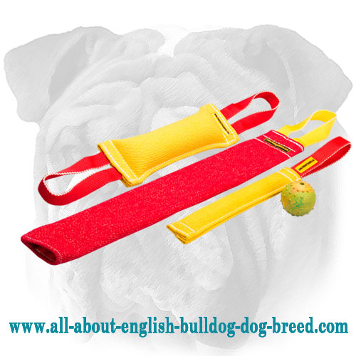 Pay for Three - Get Four Items for English Bulldog Puppy Training