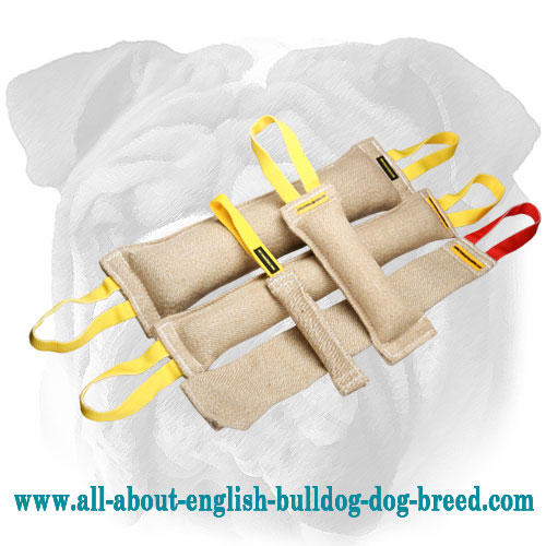 English Bulldog Set of Jute Bite Tugs
