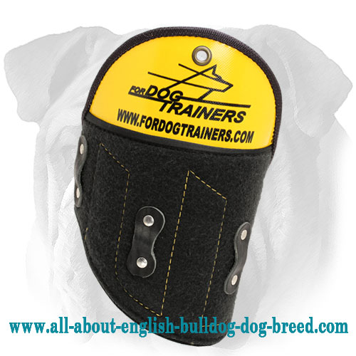 Easy Removable English Bulldog Shoulder Protector for Advanced Training