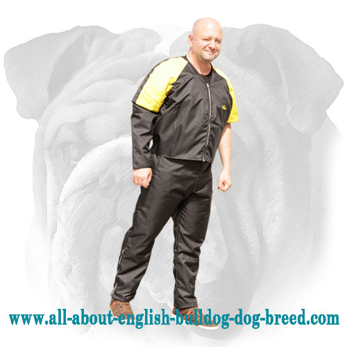 Protection Nylon Scratch Suit for English Bulldog Training - Click Image to Close