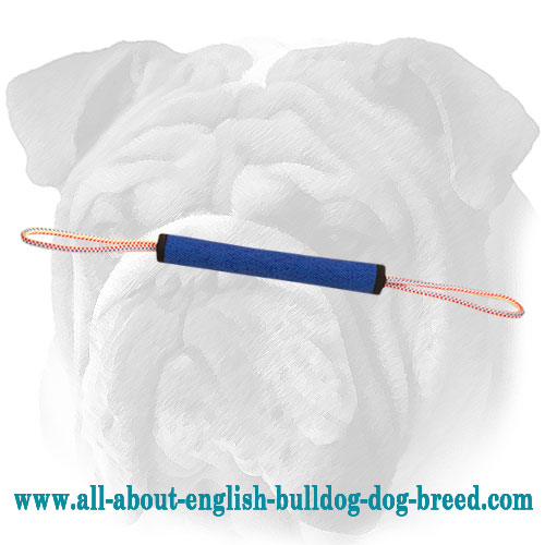 French Linen Roll for English Bulldog Puppy Bite Training