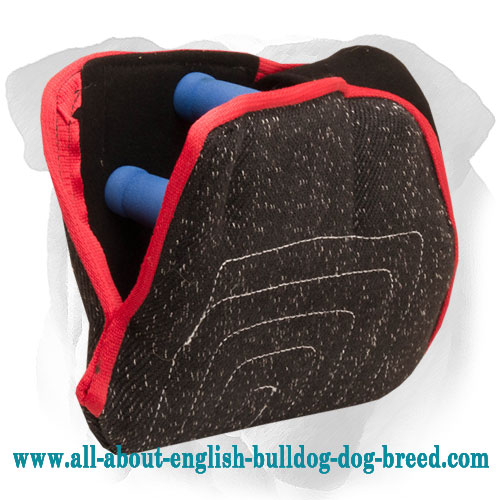 Young Dog Training French Linen Bite Developer for English Bulldog