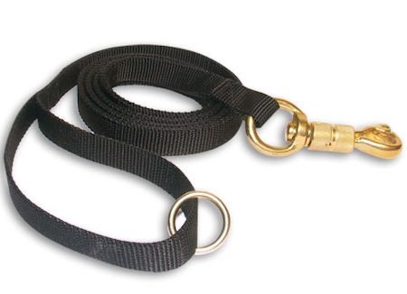 Nylon Dog Leash for walking, training 180cm