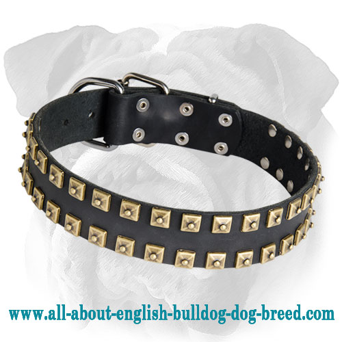 High Quality Studded Leather Dog Collar for English Bulldog