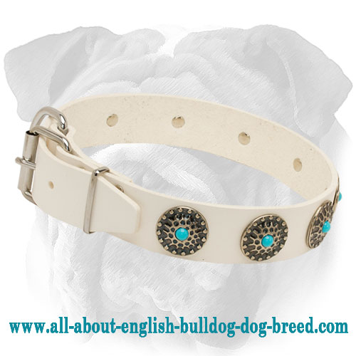 Adjustable White Leather English Bulldog Collar with Blue Stones