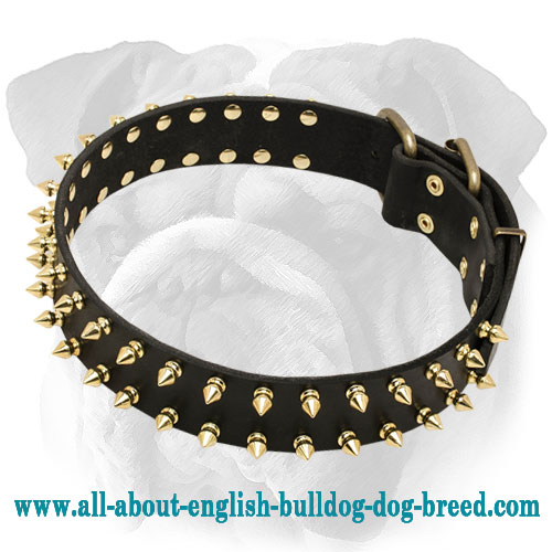 Fashionable Spiked Leather Dog Collar for English Bulldog