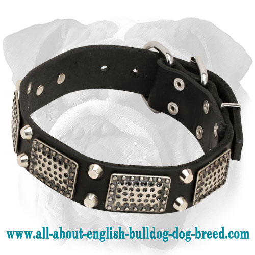 Leather English Bulldog Collar with Vintage Plates and Cones