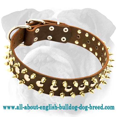 Leather English Bulldog Collar with Studs and Spikes