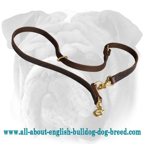 Double Training Leather Dog Leash for English Bulldog