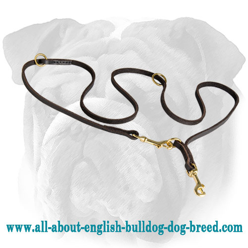 Walking Leather English Bulldog Leash