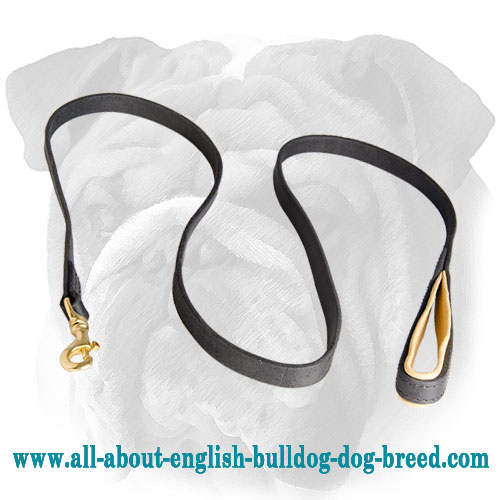 Comfortable Soft Leather English Bulldog Leash