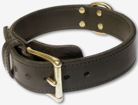 Working 2 Ply Leather English Bulldog Collar with Fur Protection Plate