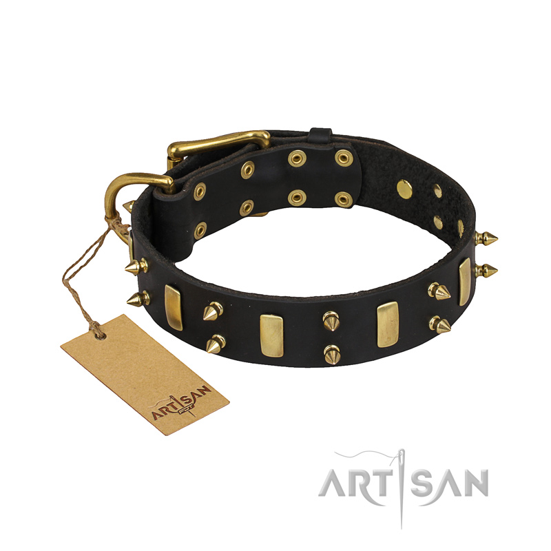 "Medieval Style" FDT Artisan Leather English Bulldog Collar with Brass Plates and Spikes