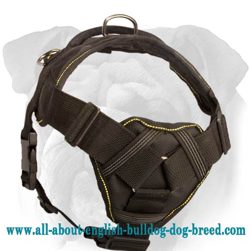 Nylon English Bulldog Harness with Cushion Chest Plate - Click Image to Close