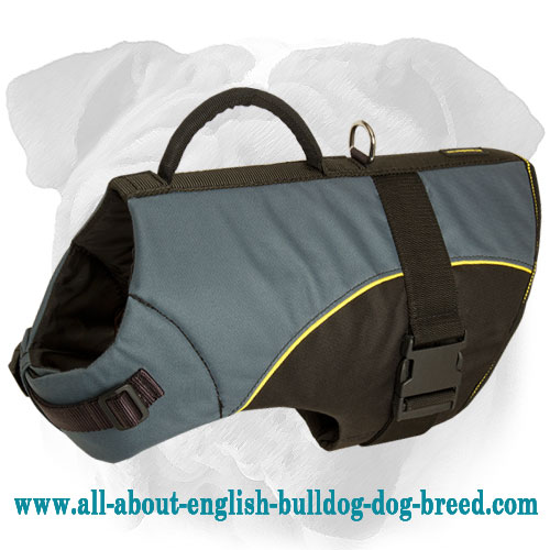 All Weather Nylon Dog Harness for English Bulldog