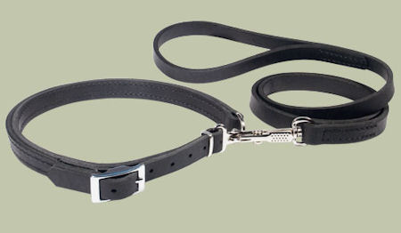 Collar and leash in one sale