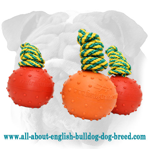 Water Rubber English Bulldog Ball for Training - Medium - Click Image to Close