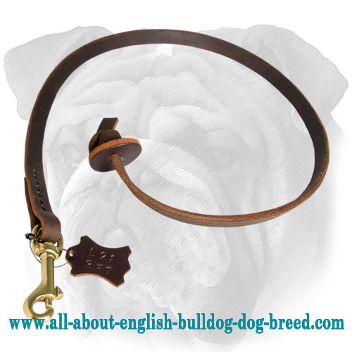 Training Leather English Bulldog Leash with Circle Handle - Click Image to Close