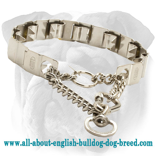 Stainless Steel Neck Tech English Bulldog Prong Collar - 19 inch (48 cm)