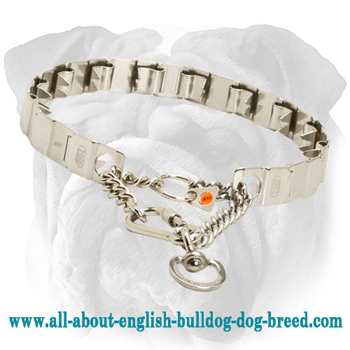 Stainless Steel Neck Tech Dog Collar for English Bulldog