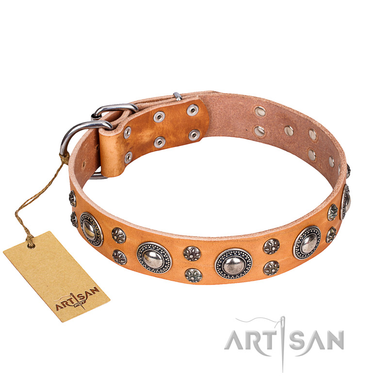 'Extra Sparkle' FDT Artisan English Bulldog Tan Leather Dog Collar
