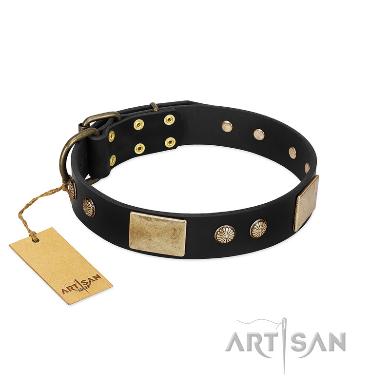 "Antique Gloss" FDT Artisan Black Leather English Bulldog Collar with Bronze-like Plates and Small Studs