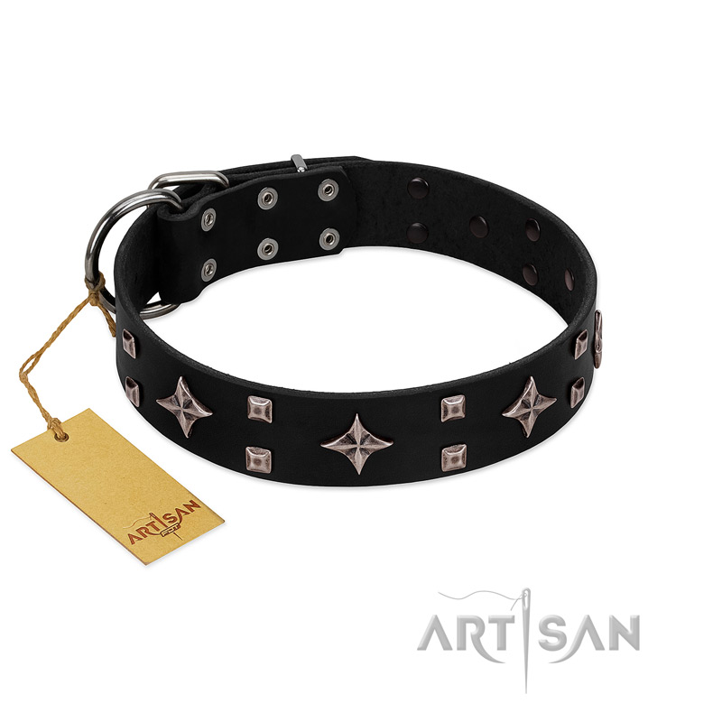 "Snappy Dresser" FDT Artisan Black Leather English Bulldog Collar Adorned with Stars and Tiny Squares