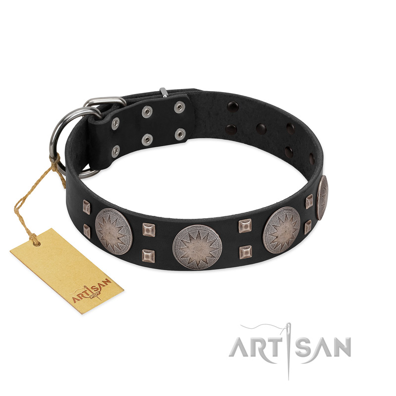 "Sun in Shining" Modern FDT Artisan Black Leather English Bulldog Collar with Studs and Stars