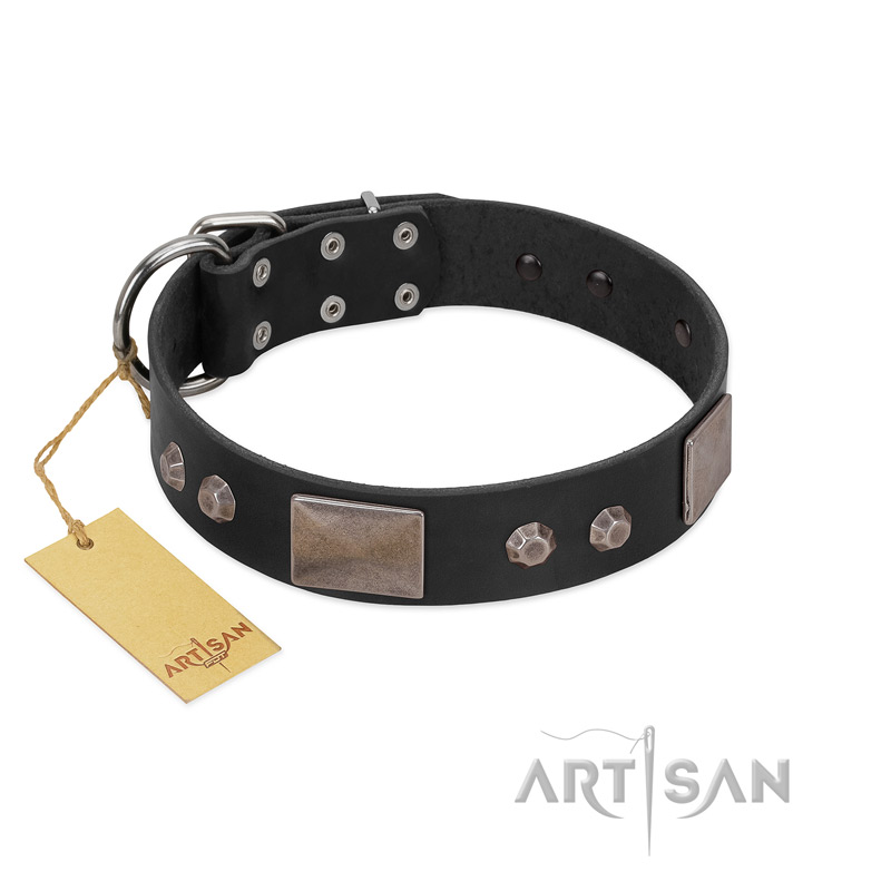 "Square Stars" Modern FDT Artisan Black Leather English Bulldog Collar with Square Plates and Studs