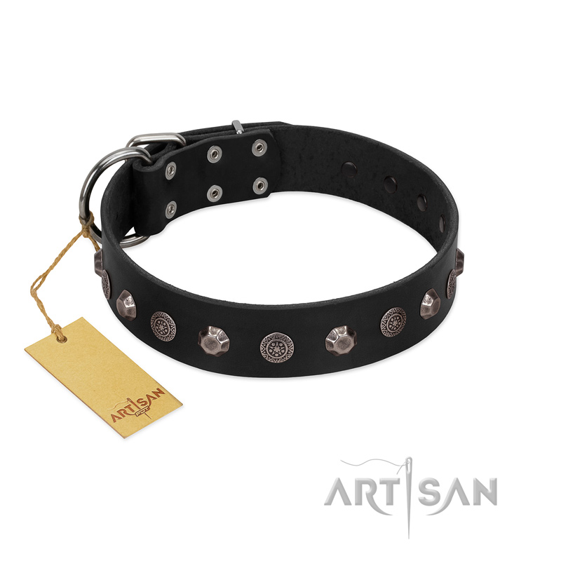 "Black Knight" Handmade FDT Artisan Black Leather English Bulldog Collar with Silver-Like Studs
