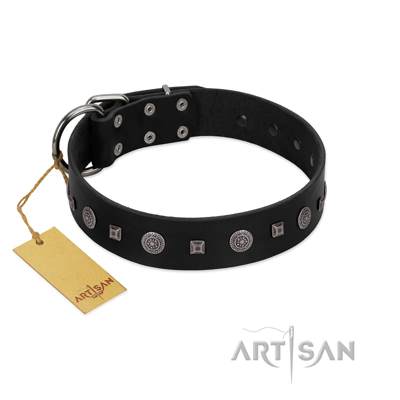 "Mr. Elegance" Designer FDT Artisan Black Leather English Bulldog Collar with Silver-Like Studs