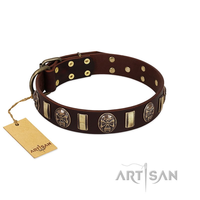 "Skull's Adventure" FDT Artisan Brown Leather English Bulldog Collar with Plates and Ovals - Click Image to Close