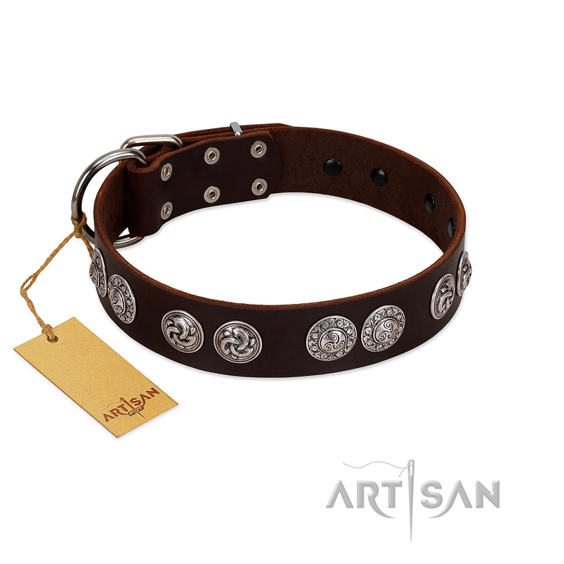 "High and Mighty" FDT Artisan Classy Brown Leather English Bulldog Collar with Embellished Brooches