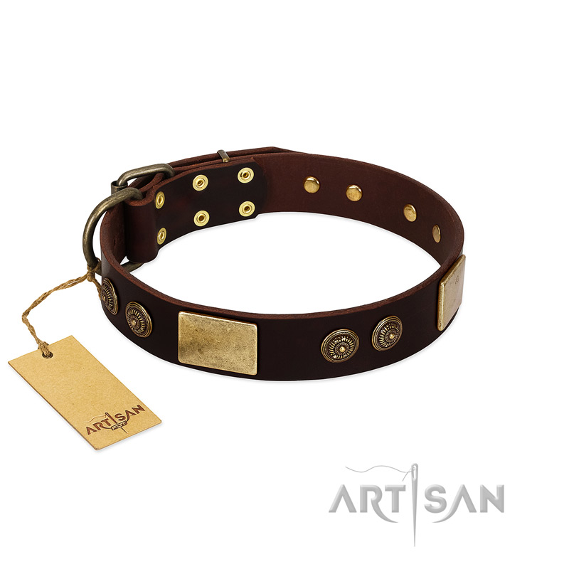 "Bow-Wow Effect" FDT Artisan Brown Leather English Bulldog Collar with Plates and Ornate Studs - Click Image to Close