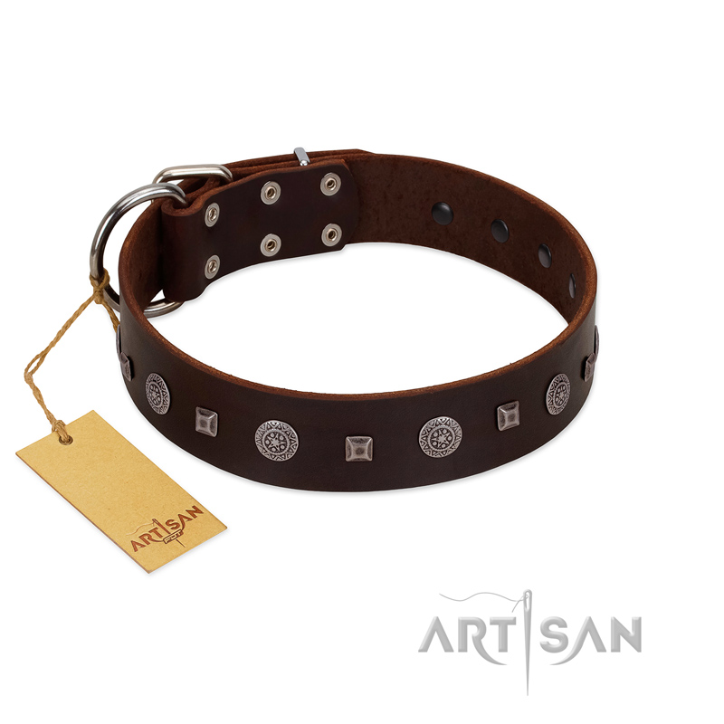 "Pure Sensation" Exclusive FDT Artisan Brown Leather English Bulldog Collar with Fancy Brooches and Studs